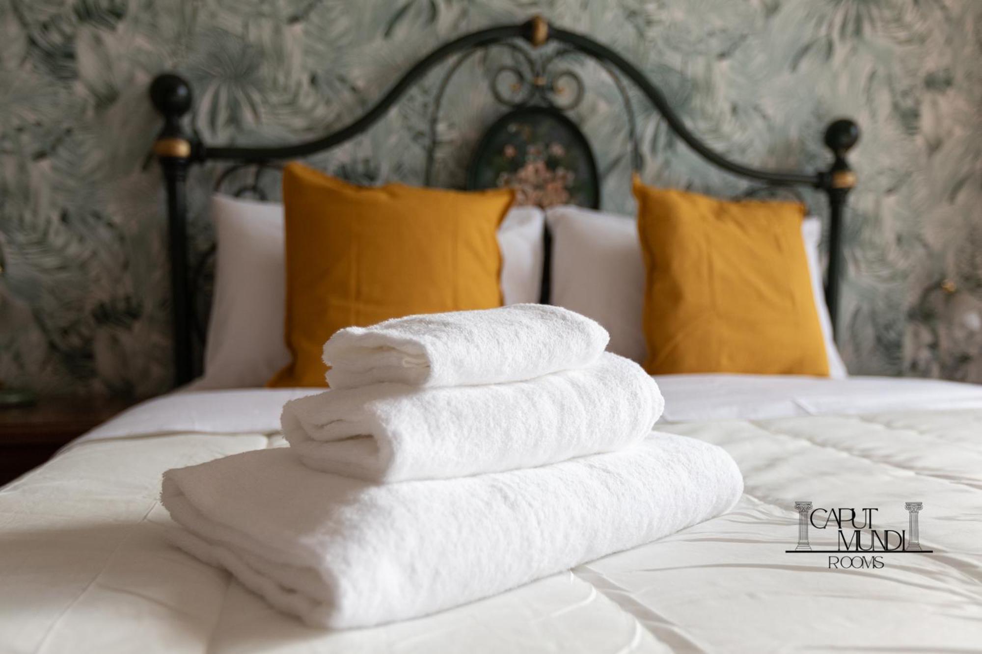 Caput Mundi Rooms - 100Mt To Metro A, Terrace, A-C, 15 Min To Center Рим Екстер'єр фото